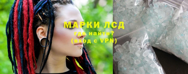 spice Аркадак