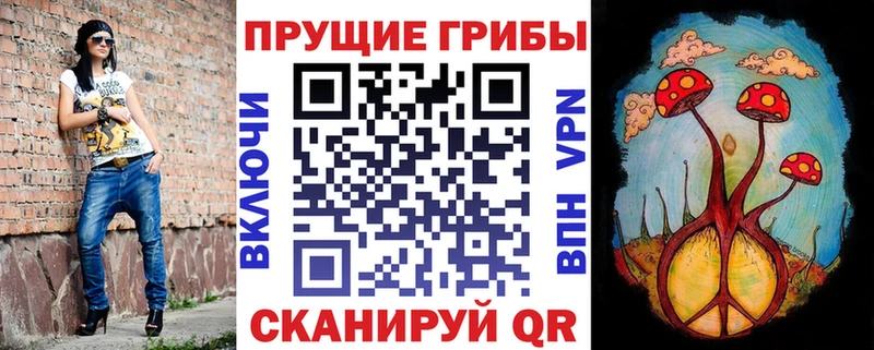 где найти   shop официальный сайт  Псилоцибиновые грибы Psilocybe  Урень 